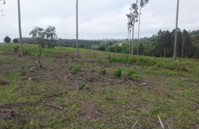 Chácara para venda em Avaré